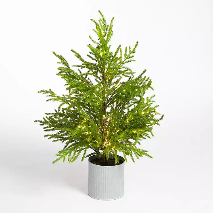 New! Potted Pre-Lit Norfolk Mini Christmas Tree, 36 in. | Kirkland's Home