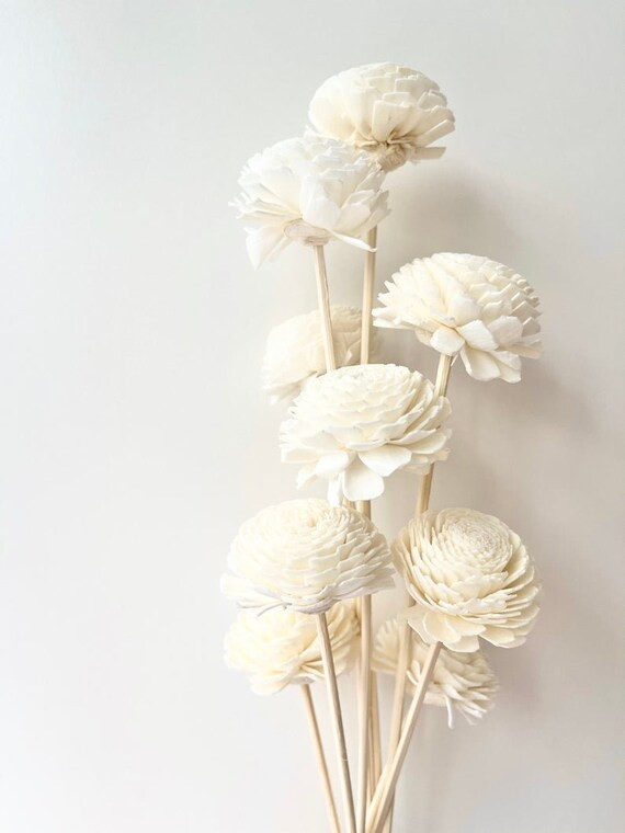 Rose Sola Flowers  3 Stems | Etsy | Etsy (US)