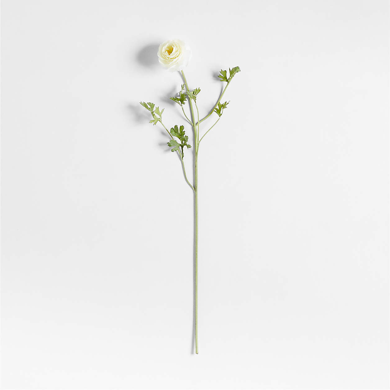 Faux White Ranunculus Stem 35" by Abigail Ahern + Reviews | Crate & Barrel | Crate & Barrel