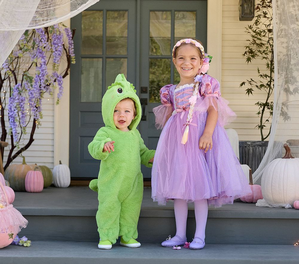 Disney Princess and Companions Costume Collection | Pottery Barn Kids