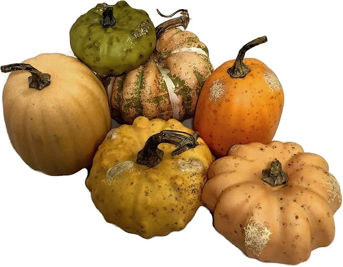 Park Hill Collection, Miniature Pumpkin Collection | Amazon (US)