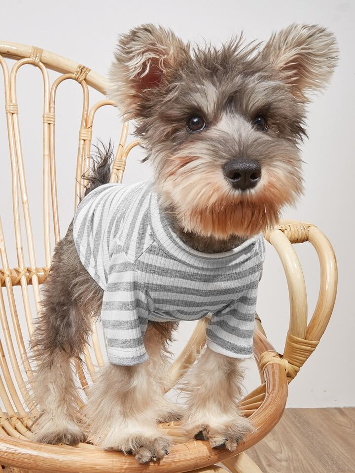 Striped Pattern Pet Tee | SHEIN