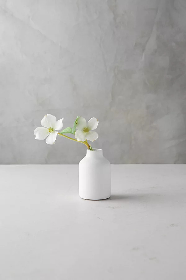 Matte Terracotta Bud Vase, Tall By Terrain in White Size M | Anthropologie (US)