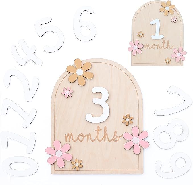 Baby Monthly Milestone Cards - Wooden Monthly Milestone Discs - Newborn Photography Props to Docu... | Amazon (US)