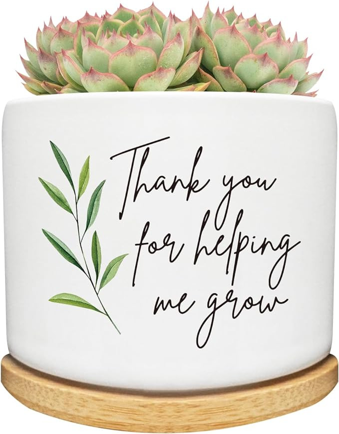 Thank You for Helping Me Grow Succulent Cactus Planter Pots with Bamboo Tray, Office Kitchen Home... | Amazon (US)
