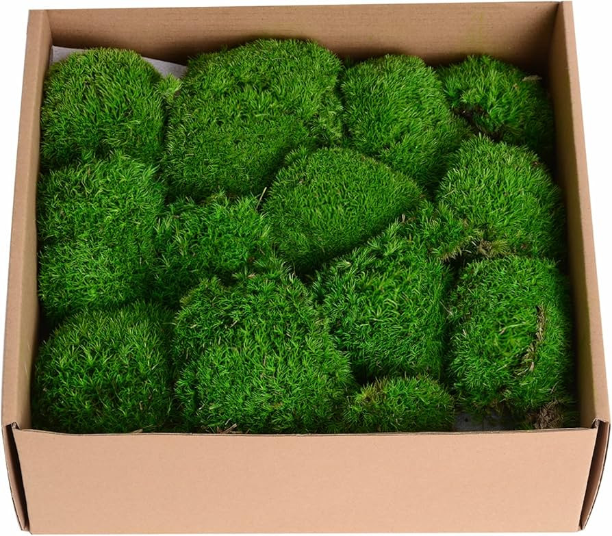 1.5 Sq. Ft. Preserved Moss Pole Decorative Moss for Crafts, Art, Wall Decor,Dark Green | Amazon (US)