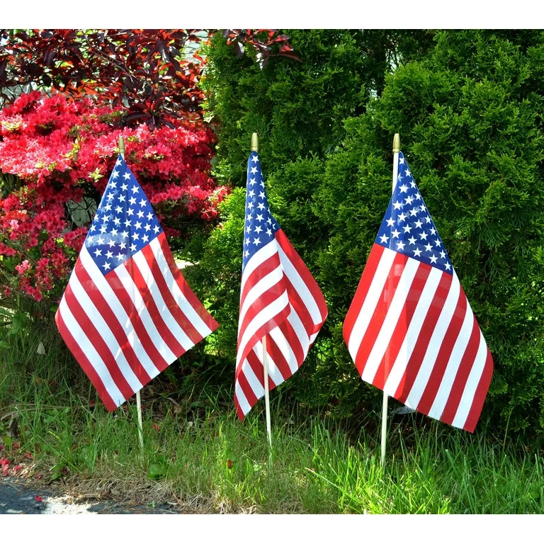 American Printed Polycotton Stick Flag, 12" x 18" by Betsy Flags, 2-Pack | Walmart (US)