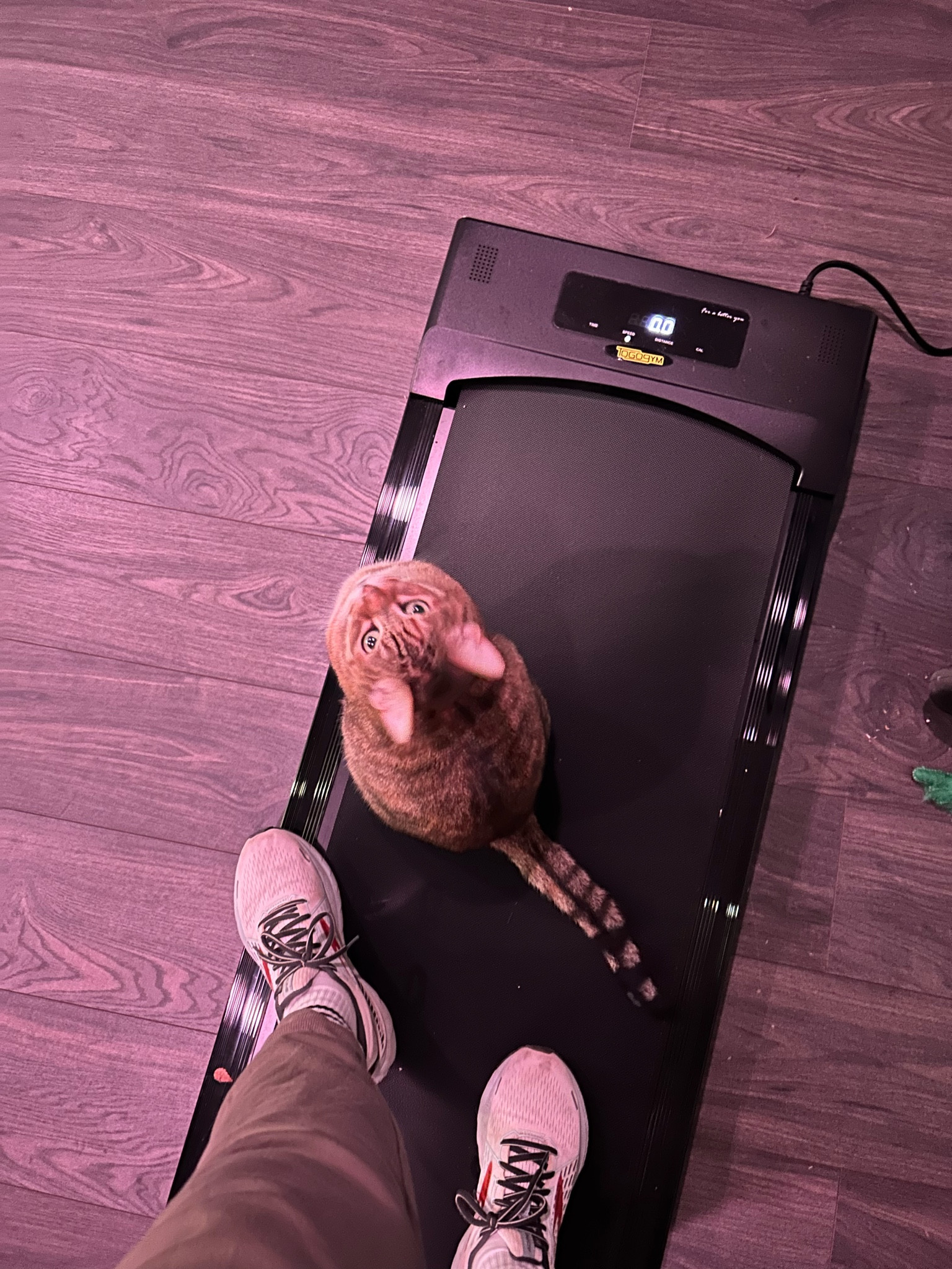 Under the desk walking pad

#LTKActive #LTKhome #LTKfitness