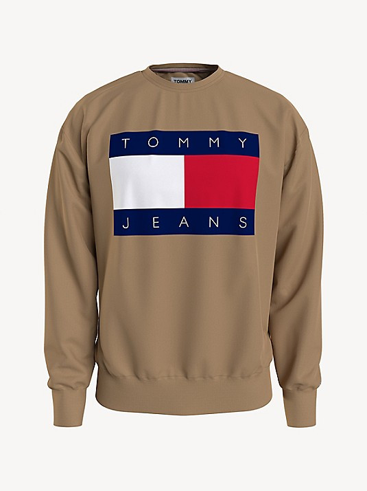 Flag Sweatshirt | Tommy Hilfiger (US)