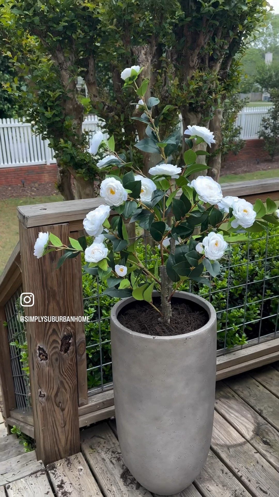 patio, spring, summer, patiorefresh, fauxplants, amazonflowers, planter, concretestyleplanter, garden, homefinds, amazonhomefinds, backporch, frontporch#LTKstyletip #LTKhome

#LTKSeasonal