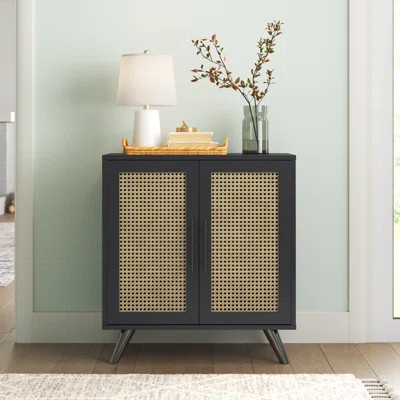 Casspi 2 Door Accent Cabinet | Wayfair North America