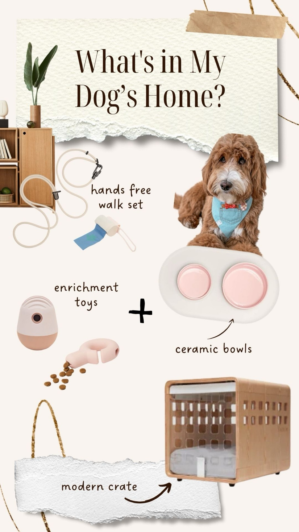 Pet care, aesthetic pet care, modern pet accessories, dog favorites, pet must haves, dog toys

#LTKhome