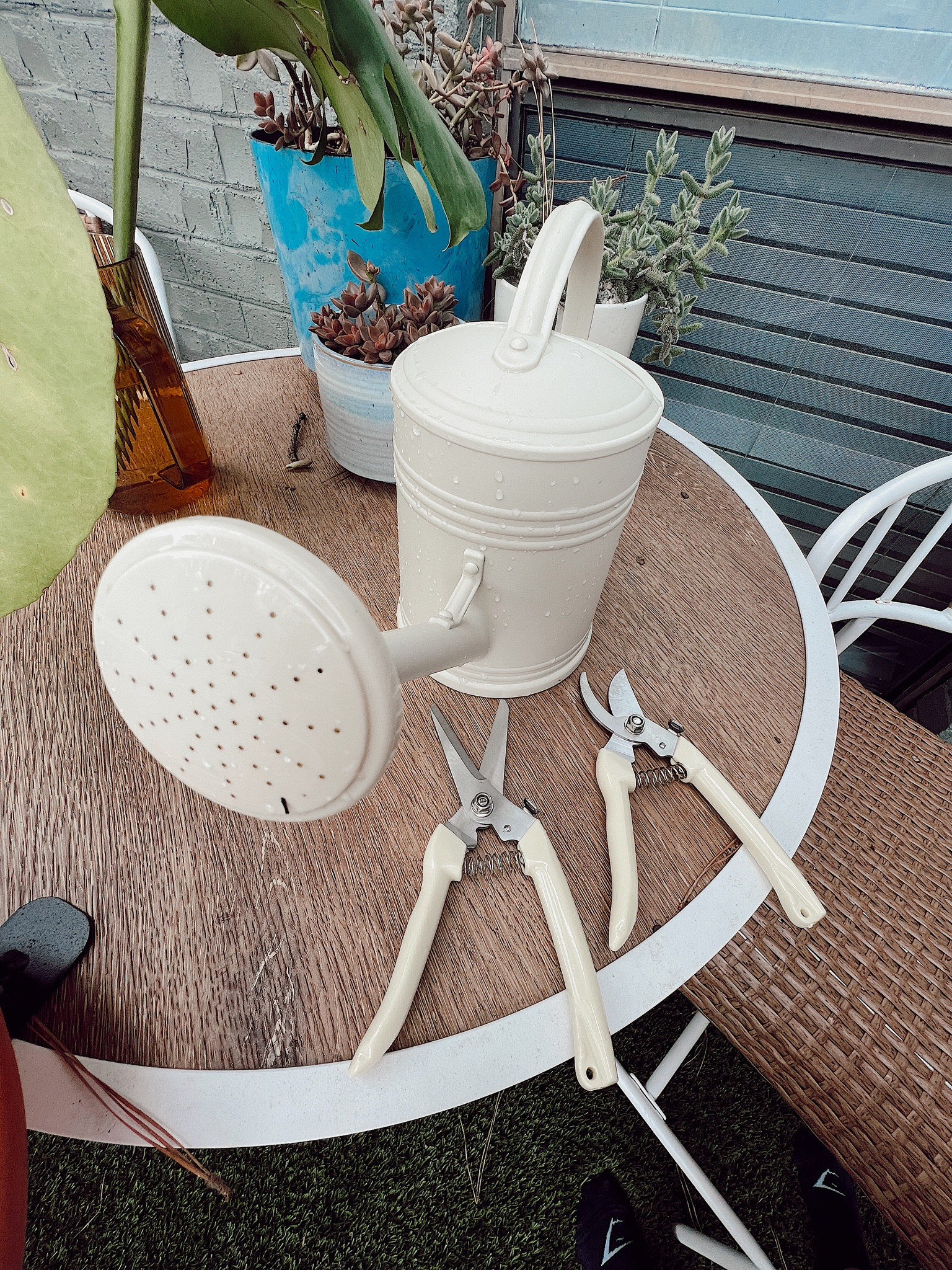 Some of my favorite gardening tools 🪴👩‍🌾🩷

#LTKFind #LTKhome #LTKtravel