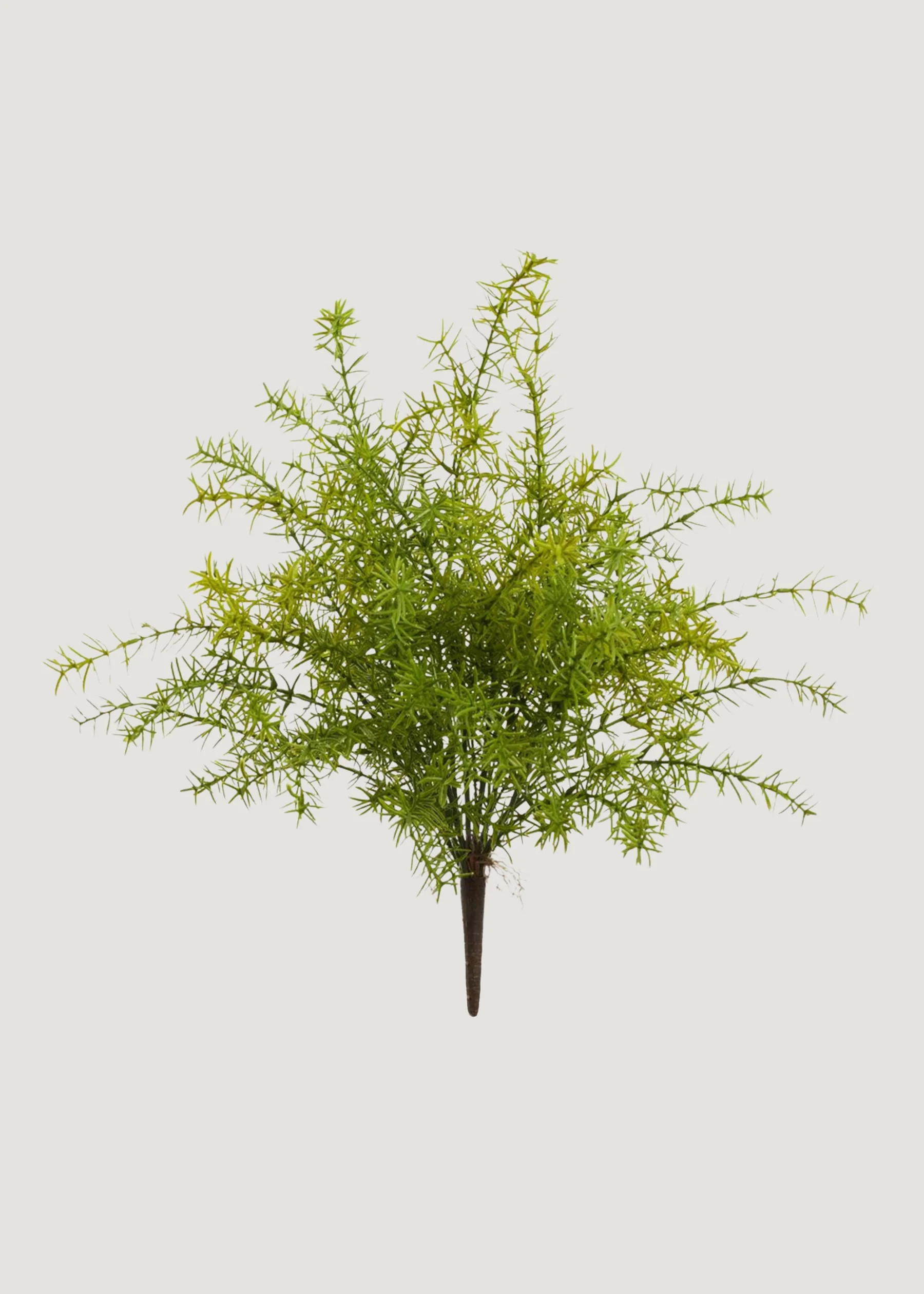 UV Treated Sprengeri Fern | Shop Artificial Outdoor Plants at Afloral | Afloral