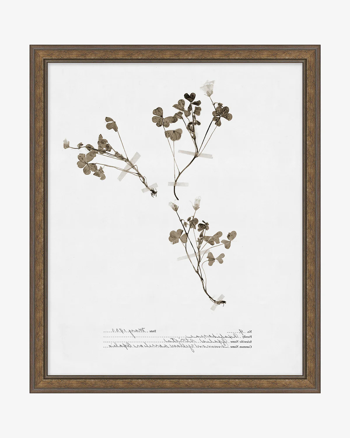 Heathland Oak | McGee & Co. (US)