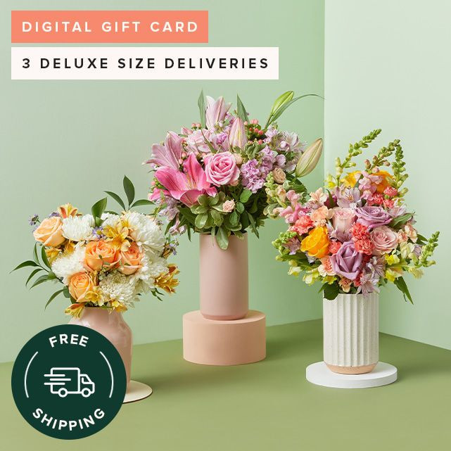 eGift Subscription: 3 Months of Flowers | The Bouqs