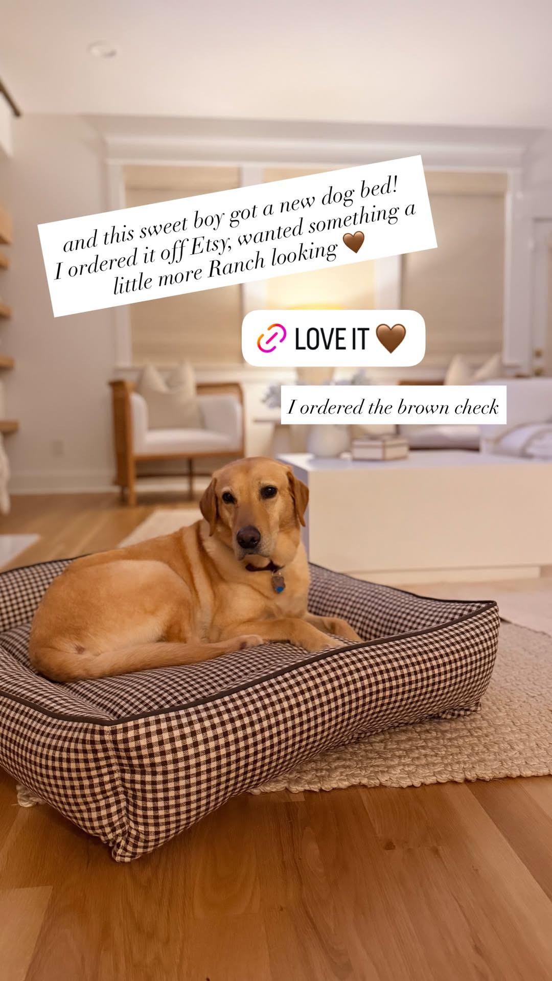 Just ordered the cutest new dog bed off of Etsy! 🤎 I ordered the brown check print. 

 #LTKSeasonal #LTKHome