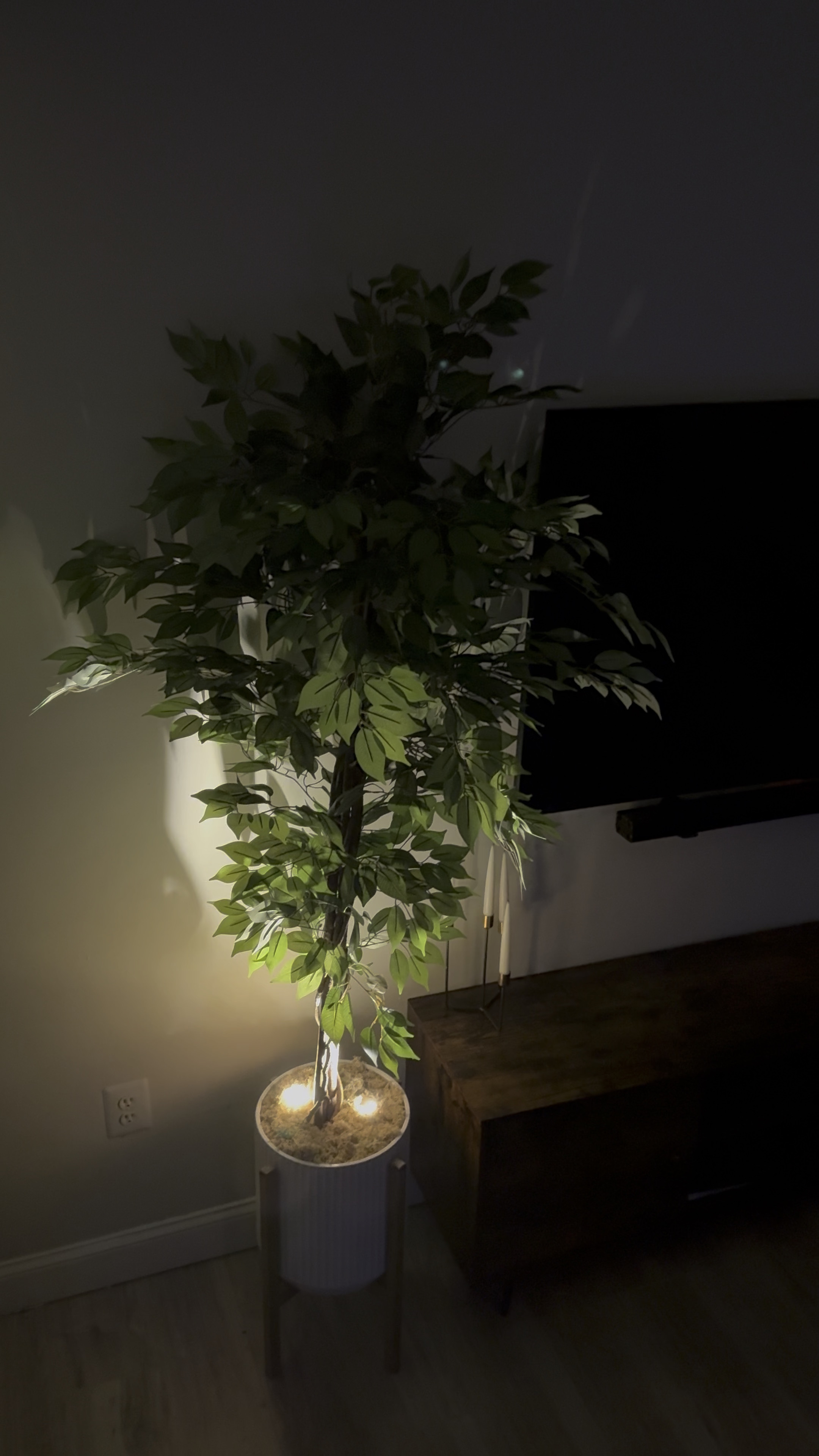 Spotlights that are easy to conceal AND come with a remote? I’m in...💡🌿

#LTKHome #LTKOver40 #LTKFindsUnder100