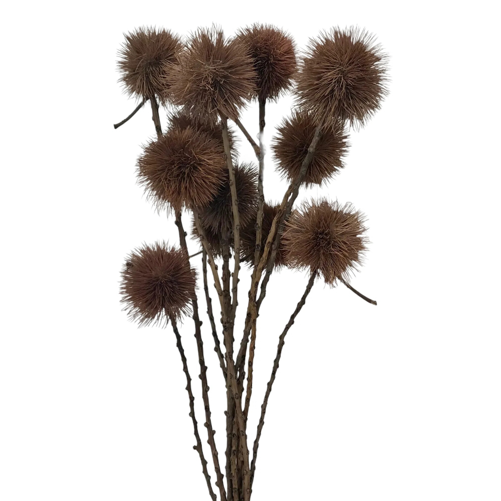 Primrue Essex Stem | Wayfair | Wayfair North America