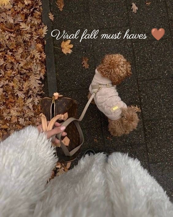 Viral fall finds you need in your cart right now 🍂🧸✨
Cutest neutrals, cozy layers, and chic staples that will take you straight into winter ❄️🤍
These are selling FAST so don’t wait shop now, pay later with Klarna 💳✨ 
treat yourself babe, your wardrobe deserves it 🤎🛍️

Tap to shop my fall to winter must haves 🍁➜❄️

#FallFashion #AmazonFinds #FallToWinterStyle #KlarnaPartner #ShopNowPayLater #CozyVibes #NeutralStyle #OOTDInspo #WardrobeEssentials #ChicStyle #FallTrendReport #WinterWardrobe #InfluencerFinds #ViralMustHaves 

#LTKSeasonal #LTKGiftGuide #LTKHoliday