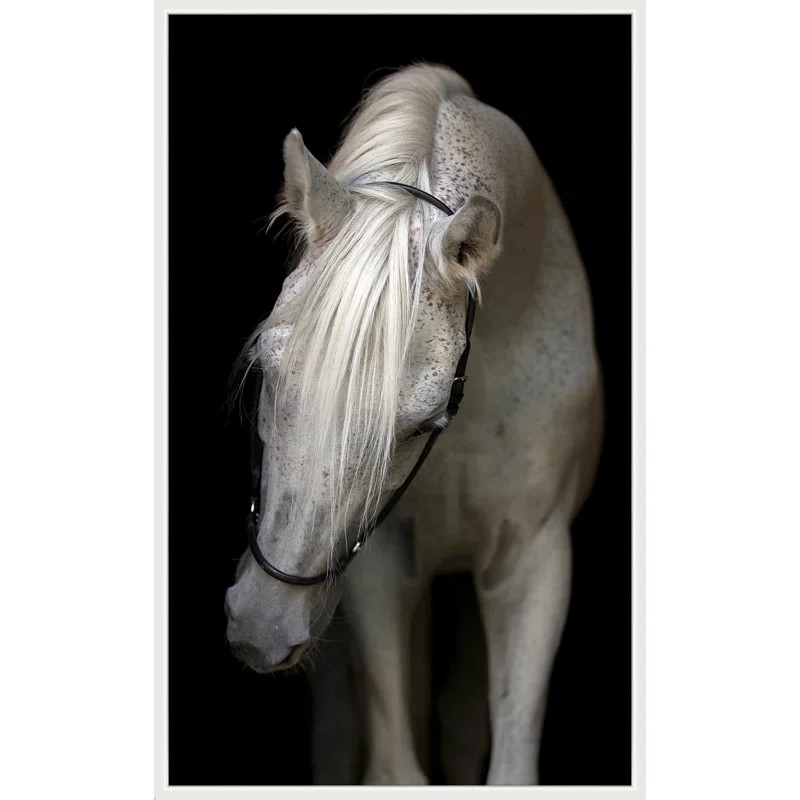 Pasha' Framed Photographic Print on Canvas | Wayfair North America