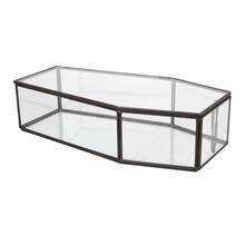 10'' Medium Glass Terrarium Coffin with Lid by Ashland® | Michaels Stores