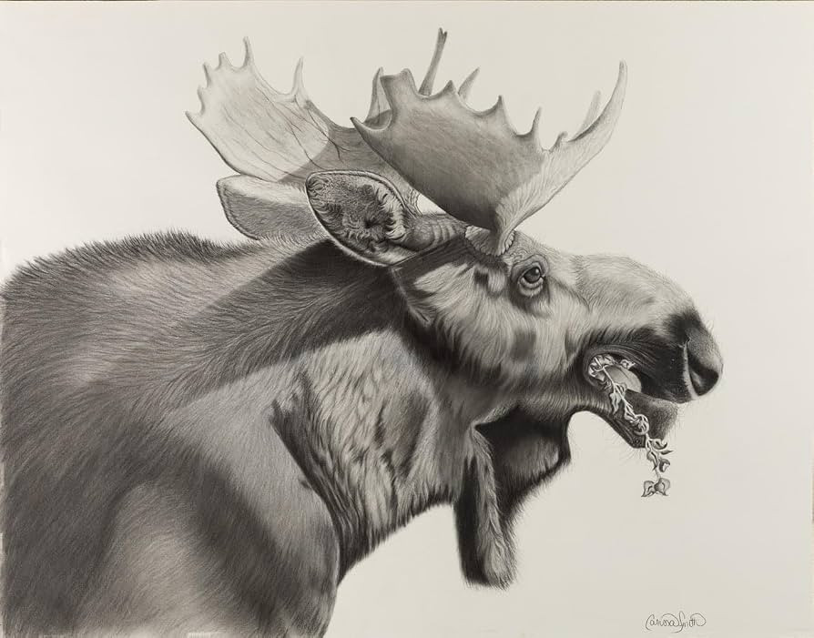 Moose Art Print, Charcoal, Graphite, Black and White Wildlife Drawing, Nature Wall Decor, Art Stu... | Amazon (US)