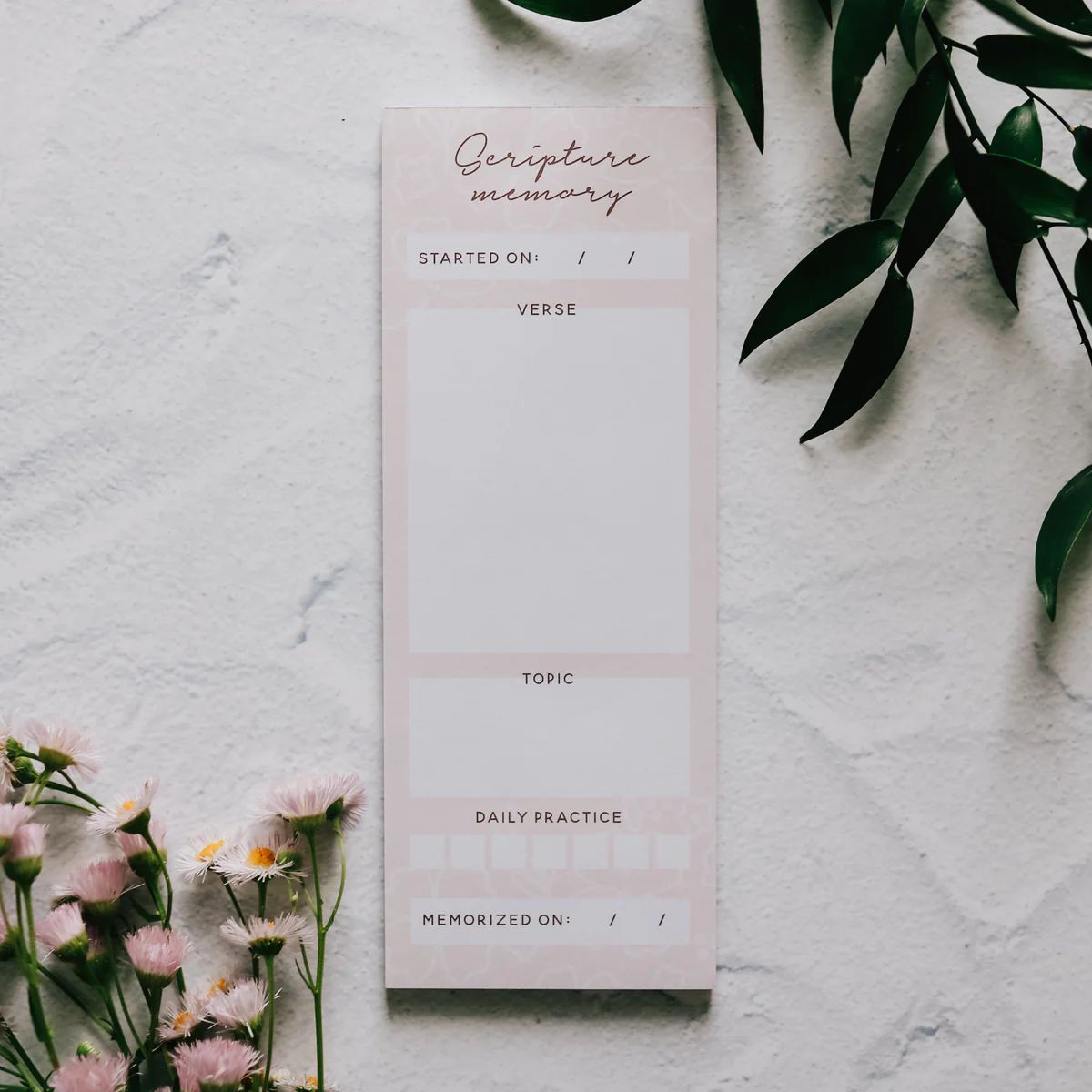 Scripture Memory Notepad - Blush Floral | The Daily Grace Co.
