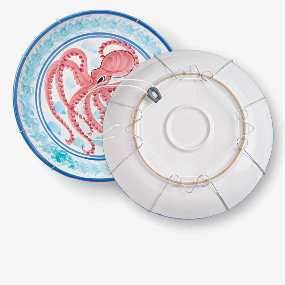 Display Buddie Extra-Large Adjustable Plate Hanger for Plates, Platters, Bowls & Oval, Square, Re... | Amazon (US)