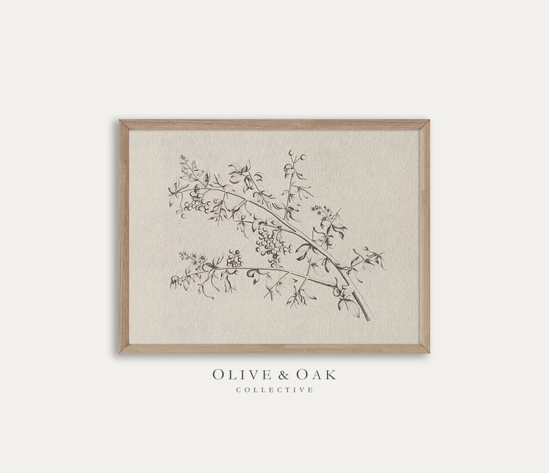 Neutral Branch Sketch / Vintage Botanical Print / Horizontal Branch Drawing / Simple Wall Art / #... | Etsy (US)
