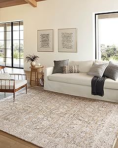 LOLOI Amber Lewis Alie Collection ALE-05 Gold/Beige 2'-7'' x 10'-0'', 0.13'' Thick Runner Rug | Amazon (US)