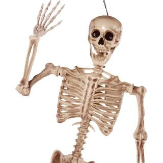SYNCFUN 5.6 ft. White Halloween Posable Body Skeleton Made of Plastic 16025 - The Home Depot | The Home Depot