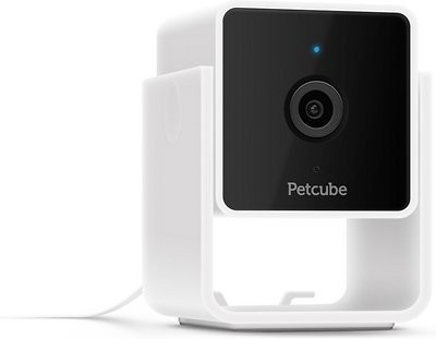 Petcube Cam HD Monitoring With Vet Chat Pet Camera | Chewy.com