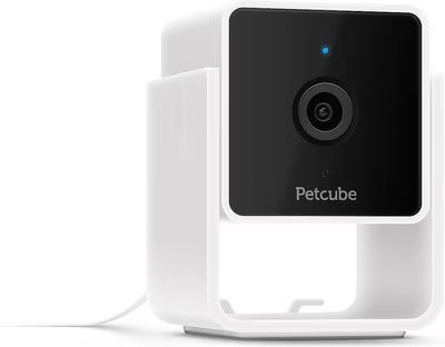 Petcube Cam HD Monitoring With Vet Chat Pet Camera | Chewy.com