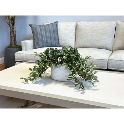 Karas Faux Tradescantia Plant in Ceramic Vase | Wayfair North America