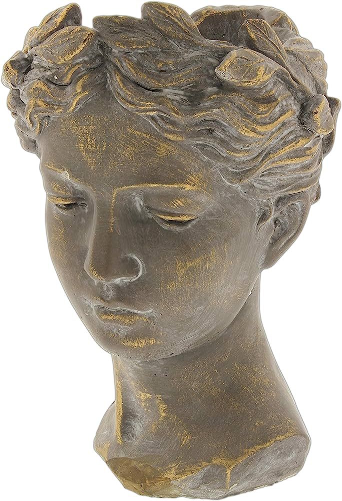 Lucky Winner Greek/Roman Style Female Statue Head Cement Planter - Unique Planter Pot for Indoor ... | Amazon (US)
