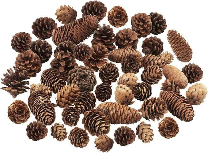 40 PCS Rustic Pine Cone Decorations - Large, Medium and Mini Sizes for Table, Tree and Home Decor | Amazon (US)