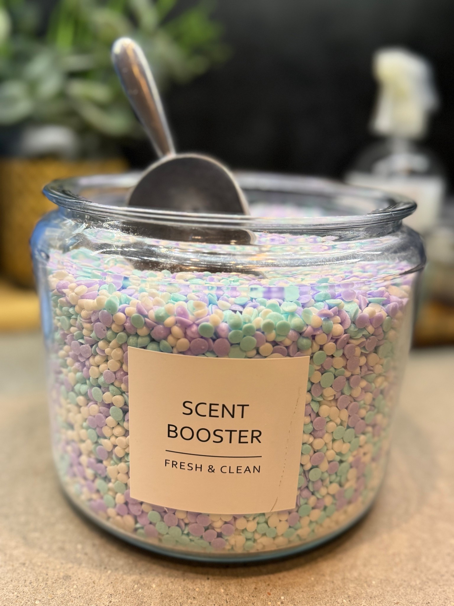 Scent booster - 🌸 Spring Edition 🌸

#LTKHome #LTKFindsUnder50 #LTKmomlife