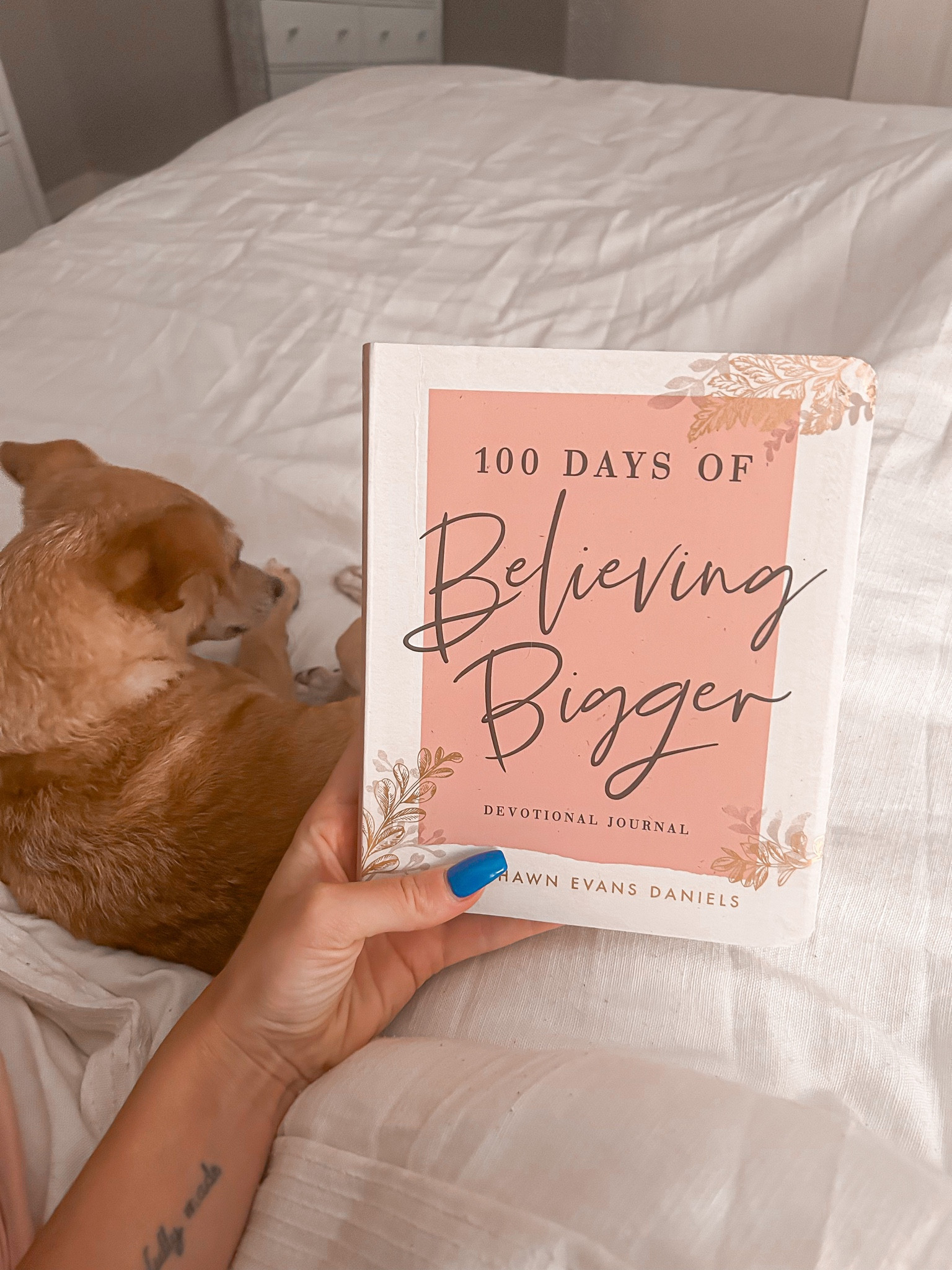 The perfect way to end your day 🫶🏼

#LTKunder50 #LTKunder100 #LTKhome