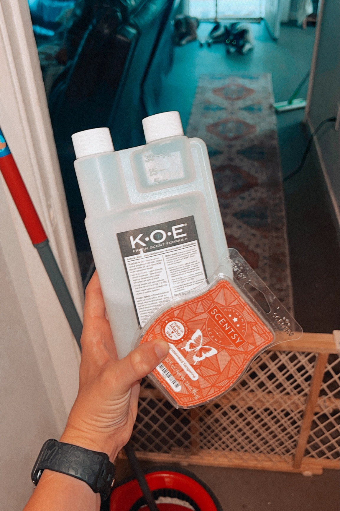 Needs for 4 heelers inside 