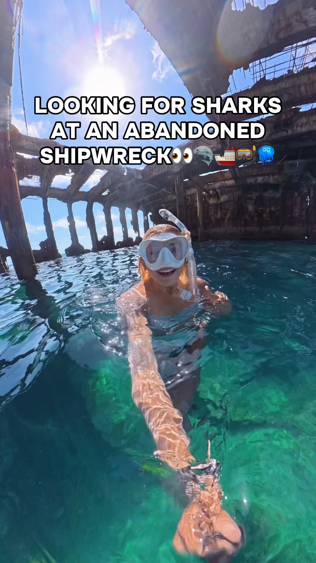 Everything I found at this abandoned shipwreck 👀🦈🪼🤿🚢 Come back to see LOTS of sharks 🦈🦈

#ocean #shipwreck #diving #freediving #marinelife 

#LTKSwim #LTKTravel #LTKActive