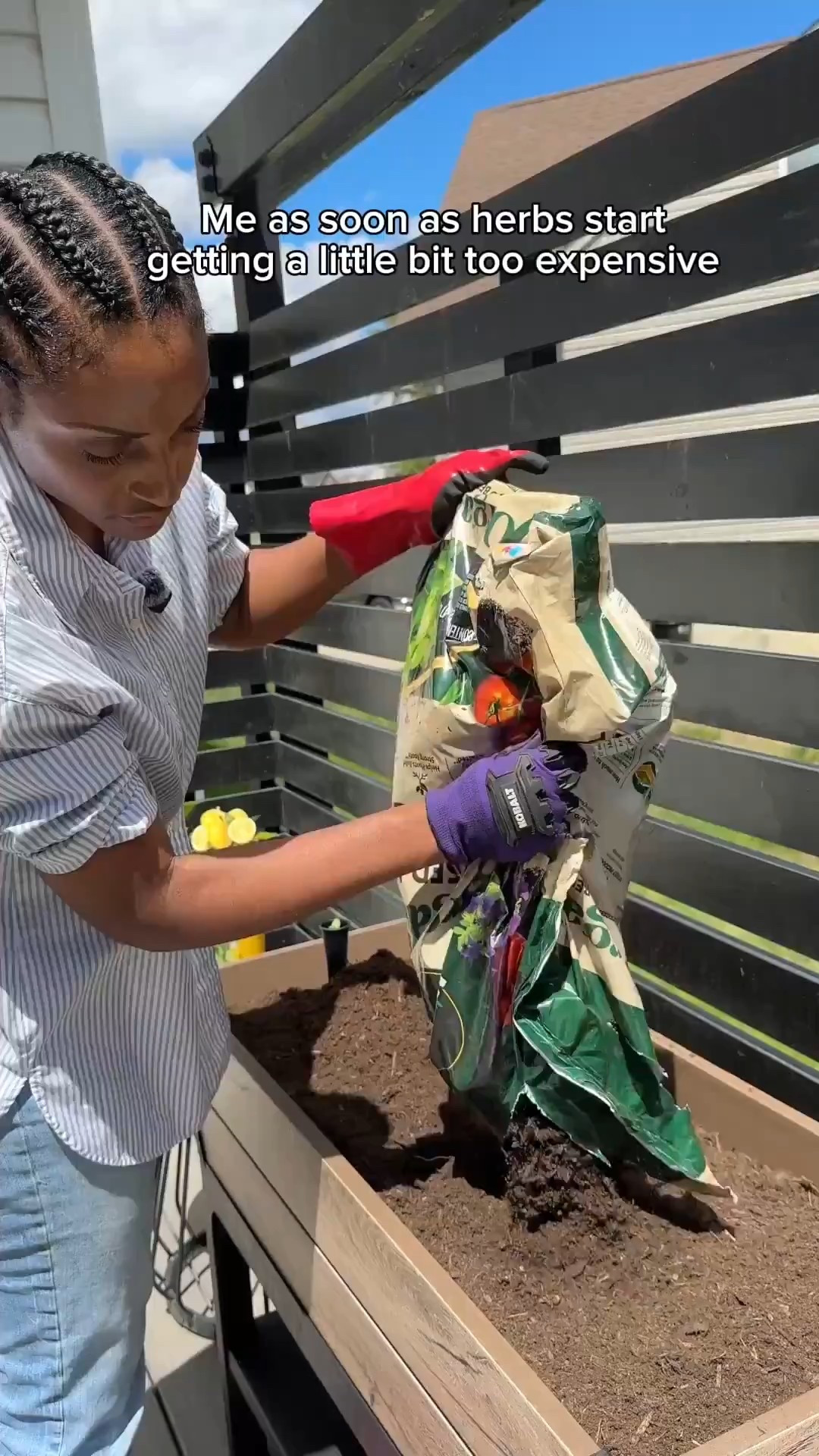 Kicking off my first garden and deep in my “Google every question” phase. Can fruits, veggies, and herbs all coexist? Time to experiment. This raised bed makes it feel possible even in a tiny space, and honestly… herbs getting pricey pushed me over the edge. Follow along for the garden glow-up! Sharing the link here ✨

Follow my LTK @Asiliglamcooks to shop this post and get my exclusive app-only content.

Raised garden bed, beginner gardening, first garden, patio garden, growing herbs, small space gardening, garden era, amazon outdoor finds, ltk home

#LTKHome #LTKgrwm

#LTKmomlife #LTKdayinmylife #LTKHome