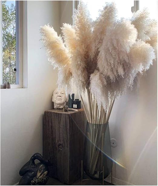 Dried Flowers 30 Inches Wedding Special Pampas Grass Decor Large Size Fluffy Feather Wedding Flow... | Amazon (US)