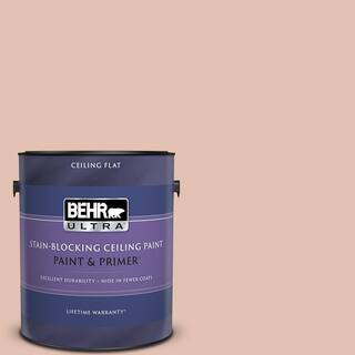 BEHR ULTRA 1 gal. #S180-2 Sunwashed Brick Ceiling Flat Interior Paint with Primer 555801 - The Ho... | The Home Depot