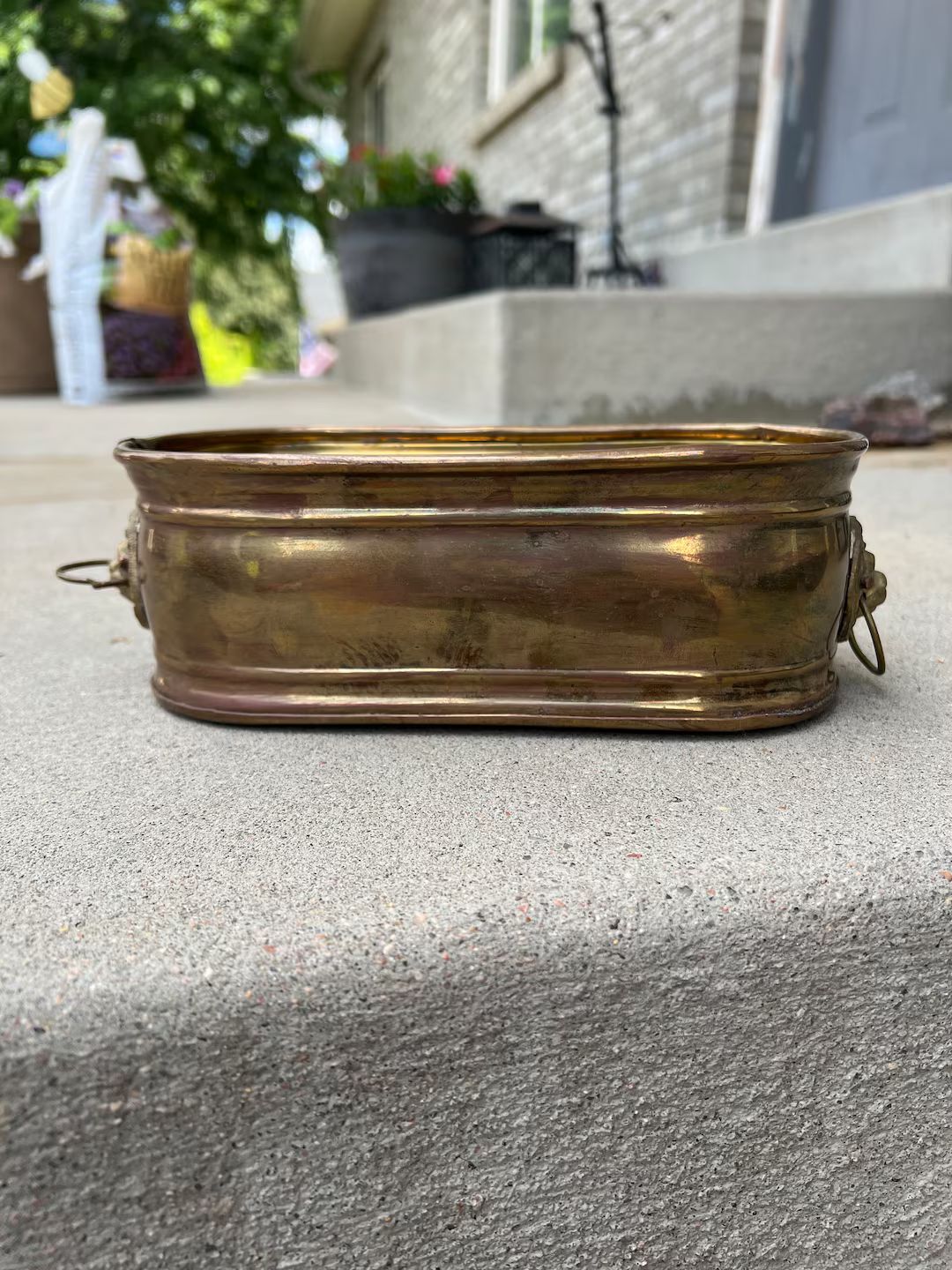 Small Oval Brass Planter/bucket With Lion Face Design Side - Etsy | Etsy (US)