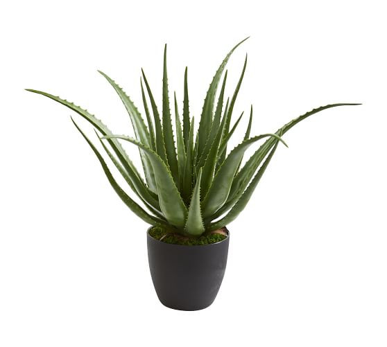 Faux Potted Aloe Plant | Pottery Barn (US)