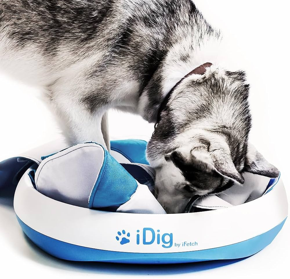 iDig Stay Digging Toy for Dogs | Amazon (US)