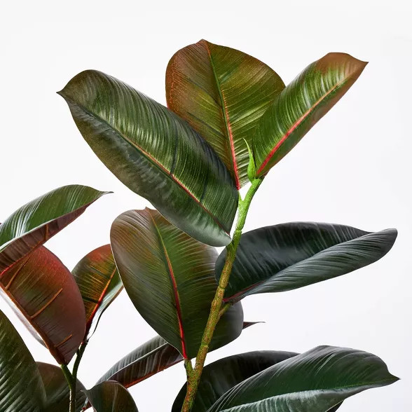 6" x 4.5" Artificial Rubber Plant in Ceramic Pot Purple - Threshold™ designed with ... | Target