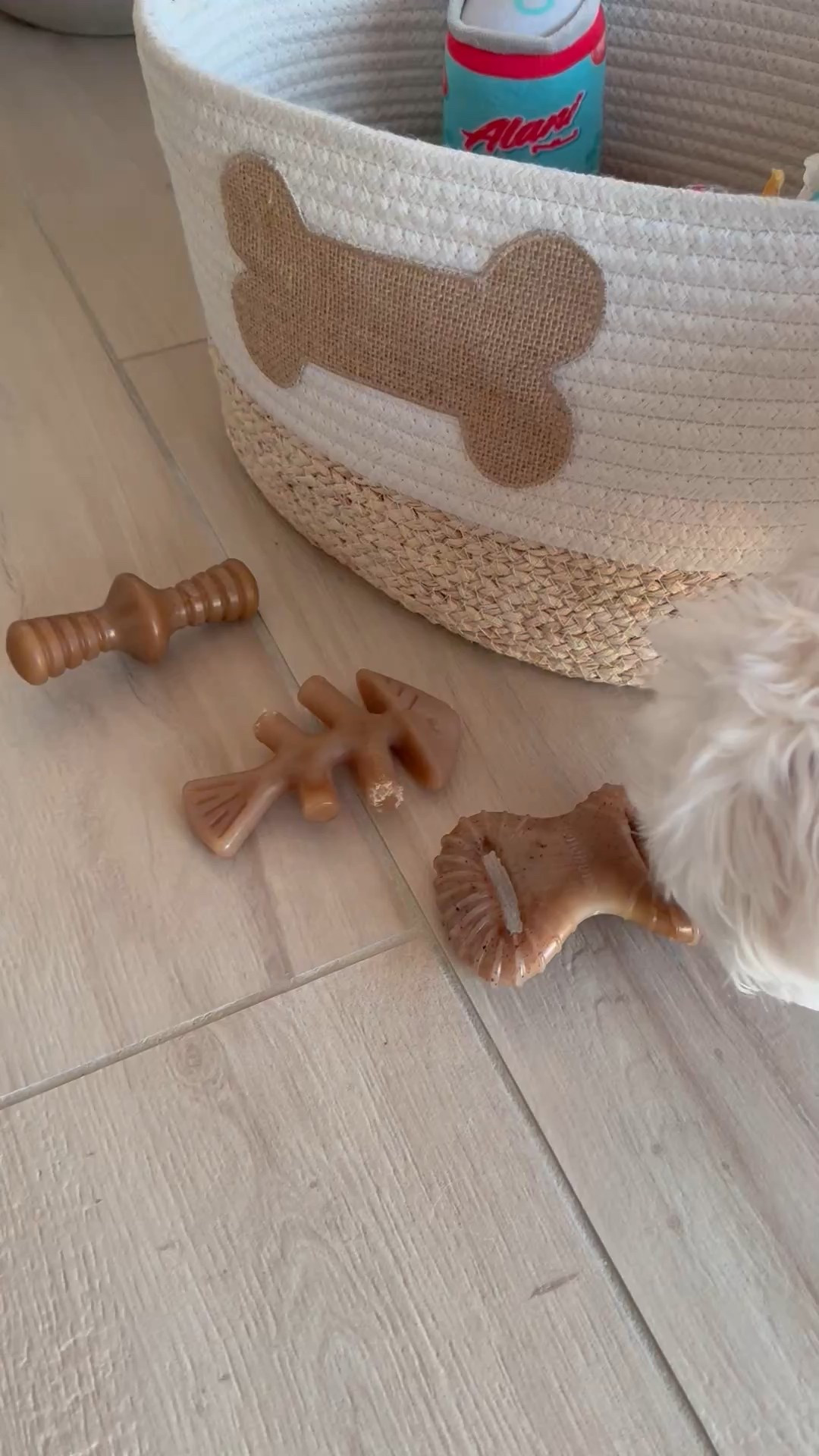 Kevin loves these bones! They come in a 3 pack (peanut butter flavor) 

#homeorganization #home #pets #dogbones #dog

#LTKHome #LTKPets