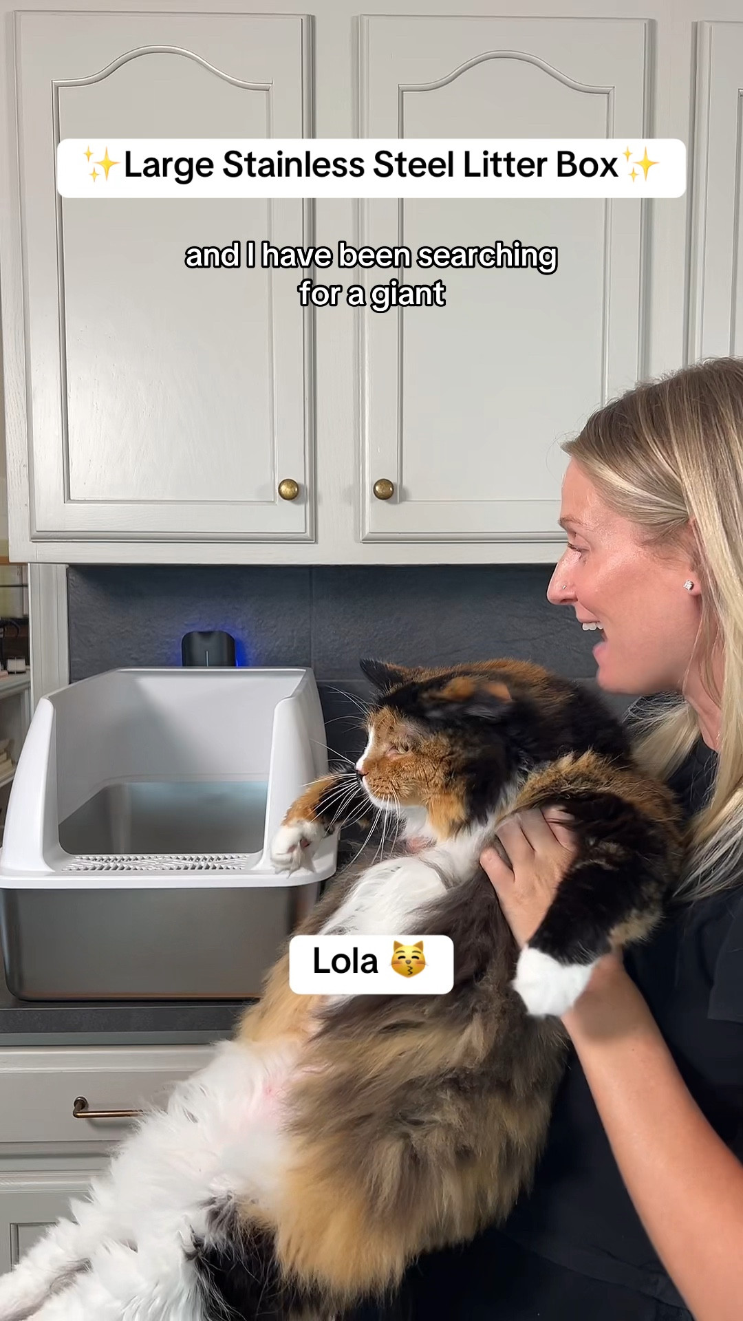 Stainless Steel Litter Box for Extra Large Cats | Metal Litter Box 

#LTKHome #LTKVideo